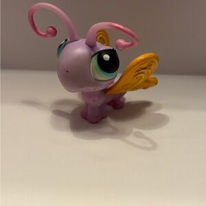 Purple and Orange Butterfly Small Pet Toy